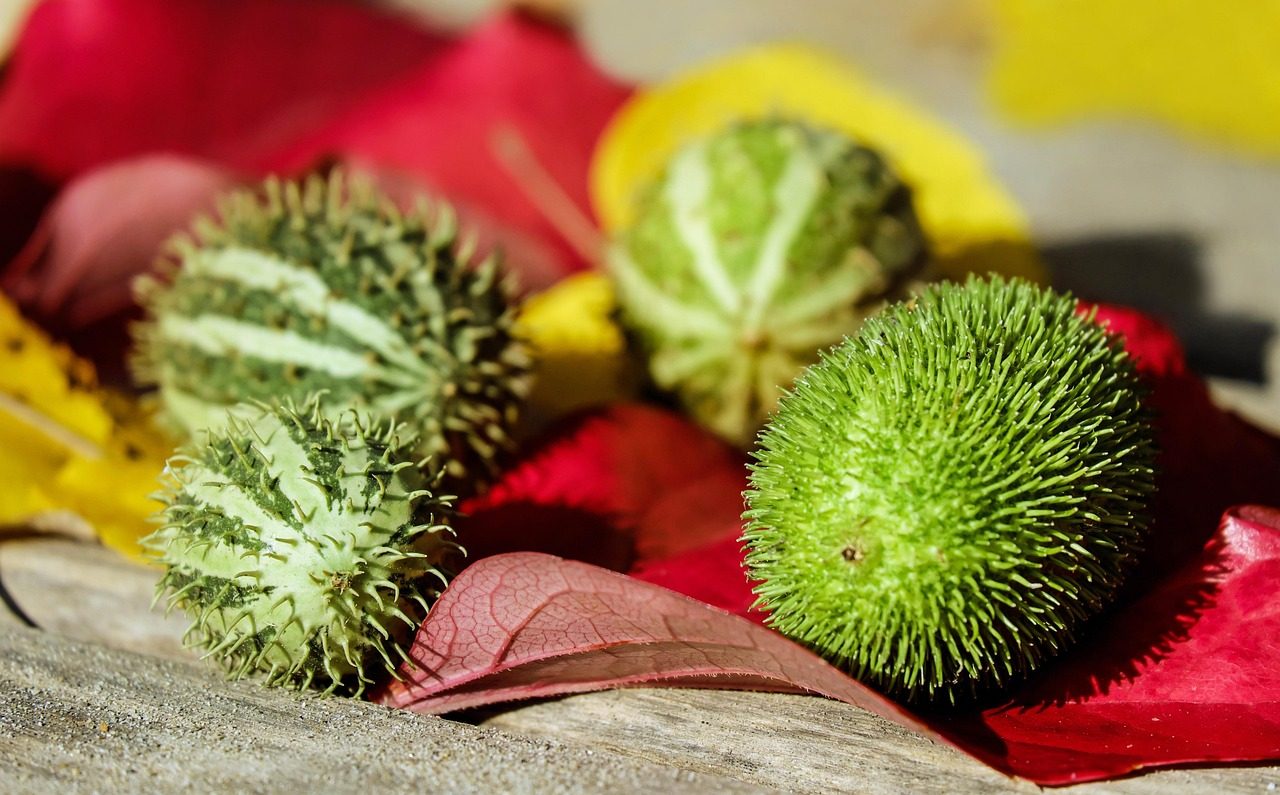 Navigating the Landscape of KYC And AML For Crypto for Businesses For Indonesia