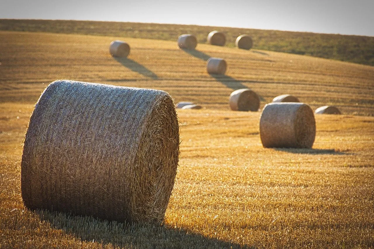 Bsc Yield Farming 2025 Compliance Essentials Using Cexs